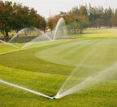 commercial-lawn-care-services